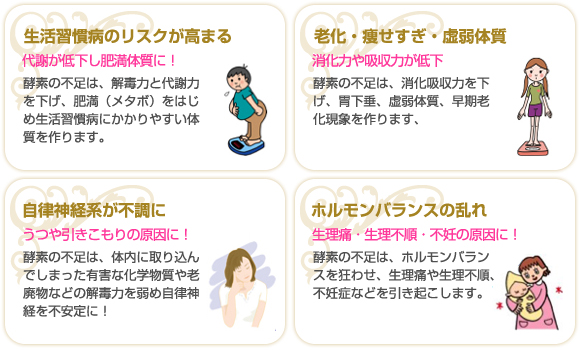 酵素 補足説明