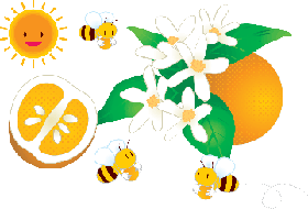 �X�y�C���Y�o�����V�A��I�����W�̃|�[�����g�p
