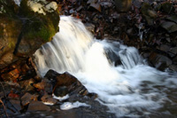 水はそれぞれ波動を持っています