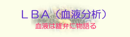 �k�a�`�@���C�u�@�u���b�h�@�A�i���C�V�X�@�A�K�i�����E�j�`���@�A�L�����\�T�C�g