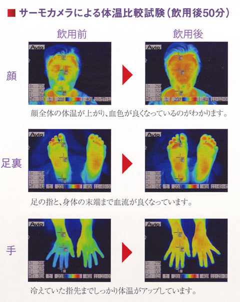 サーモカメラによる体温比較試験