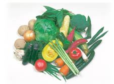 酵素栄養学では、生の野菜、果物を重視します